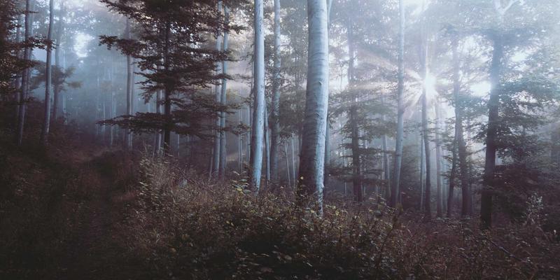 义乌妇科中心专业解析：阴道炎、盆腔炎诊疗方案与孕产保健指南