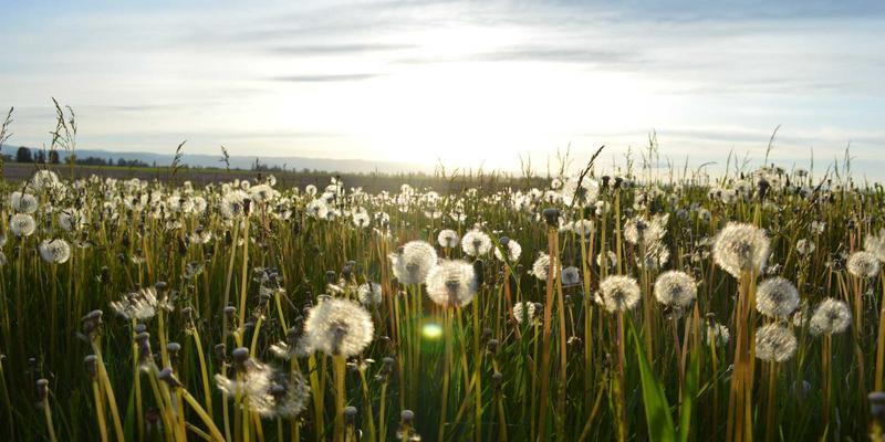 义乌妇科中心专业解读：输卵管积水致不孕，腹腔镜手术还是试管婴儿？