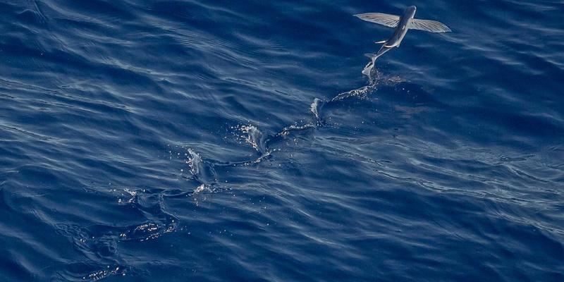 义乌妇科中心深度解析：输卵管堵塞的介入再通术与试管婴儿技术，如何科学选择？