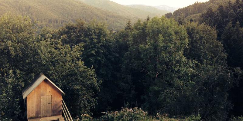 义乌妇科医院55：专注妇科医疗，守护女性健康新标杆