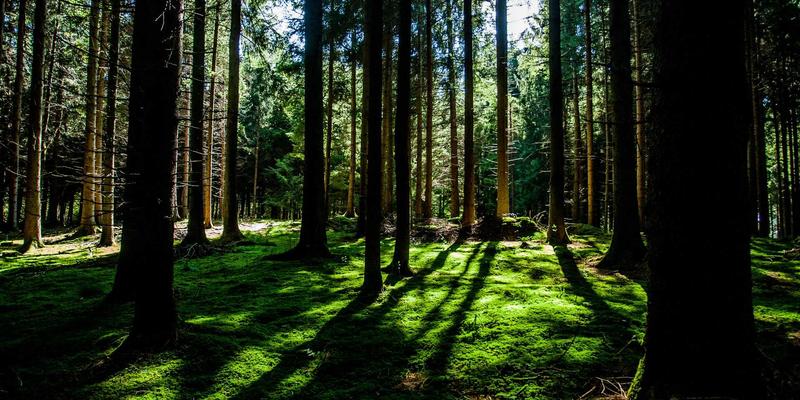 义乌妇科医院：专业妇科检查，守护女性健康的核心防线
