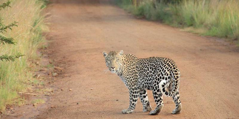义乌妇科医院专业评测：守护女性健康，如何选择靠谱的妇科医疗机构？