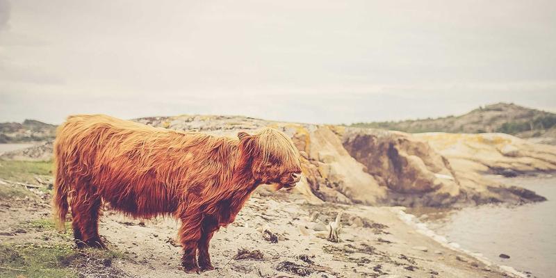 义乌妇科医院无痛宫腔镜检查全解析：守护女性健康与孕产保健的关键一步