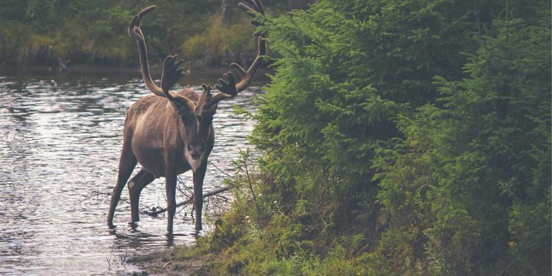 义乌妇科医院解析：告别尴尬，压力性尿失禁的非手术新选择——盆底磁刺激与生物反馈疗法
