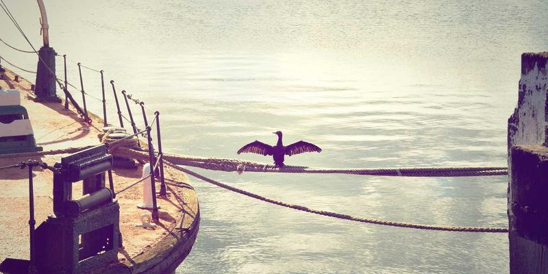 义乌妇科医院解析：阴道炎为何反复发作？关键在于菌群平衡与规范化疗程