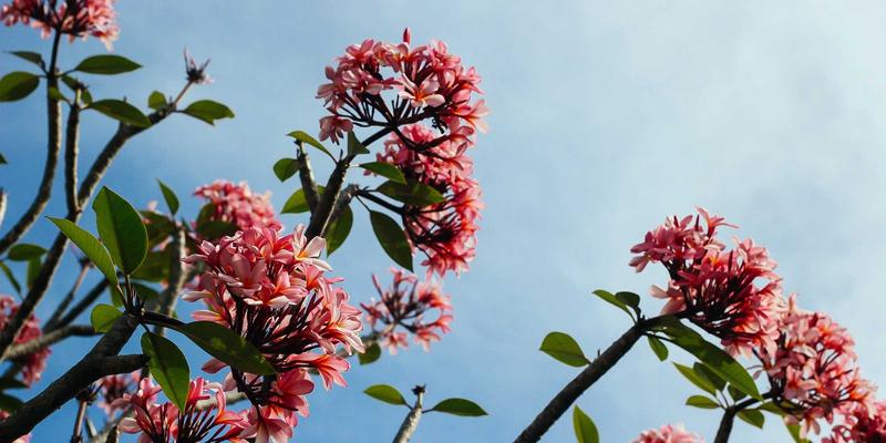 义乌妇科医院详解：多囊卵巢综合征（PCOS）的个体化治疗与长期健康管理策略