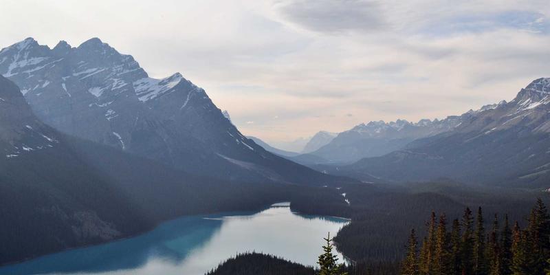 义乌宫腔粘连术后备孕指南：科学预防复发与促进内膜修复的孕产保健策略