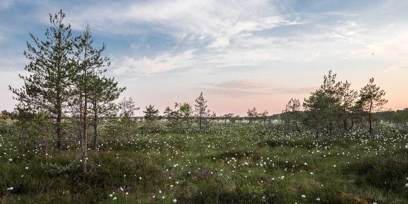 义乌更年期女性健康管理：全面解析激素替代治疗(HRT)的利弊与安全方案 | 义乌妇科中心指南