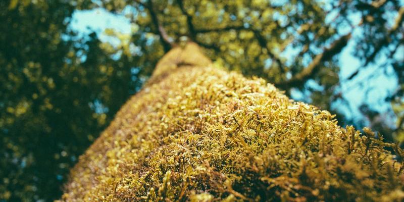 守护女性健康，义乌妇科医院65：专业妇科医疗与定期检查的重要性