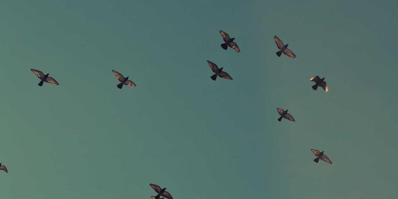 守护女性健康，迎接新生命——义乌妇科医院专业孕产保健指南